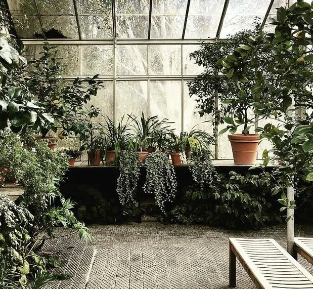 Rooftop garden overlooking the city