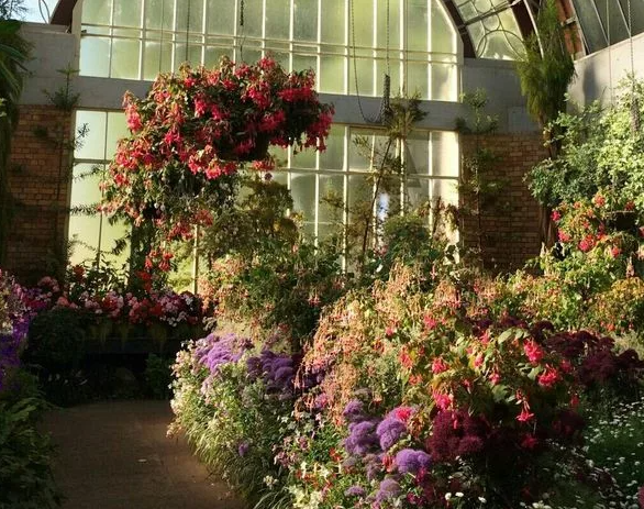 Indoor urban conservatory with seating and plants