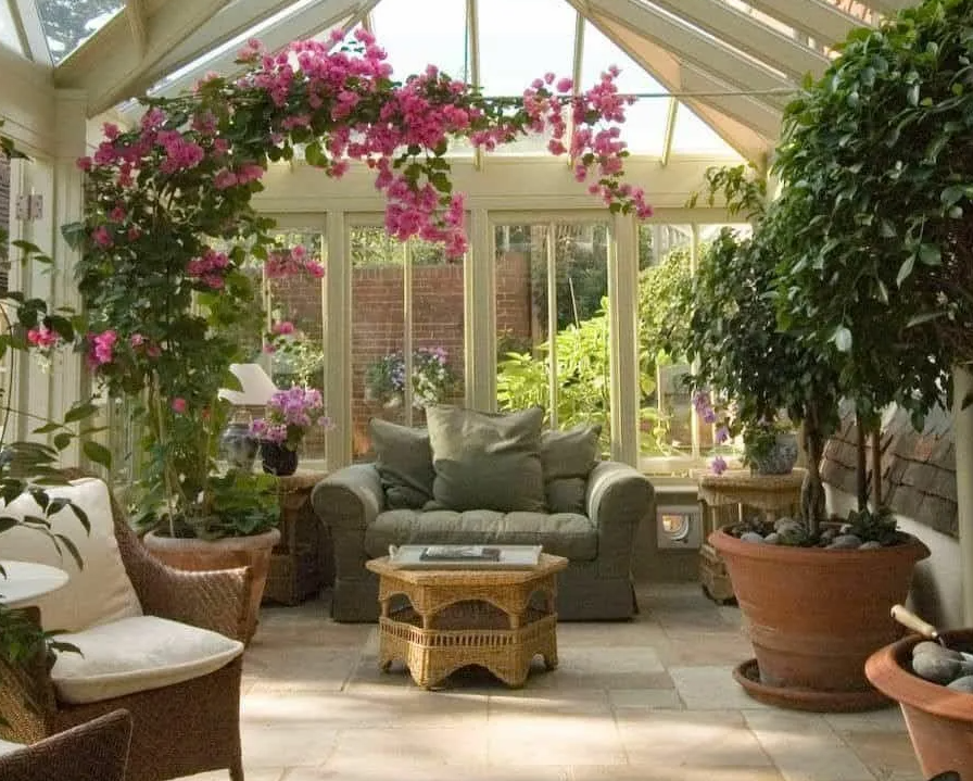 Technicians maintaining plants in greenhouse
